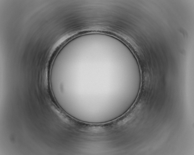 X0000113750982200910141022