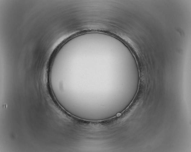 X0000113750983200910141022