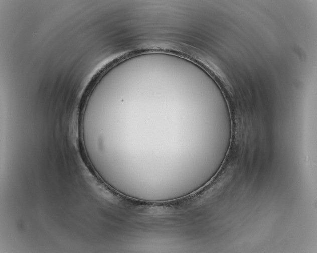 X0000113750984200910141022