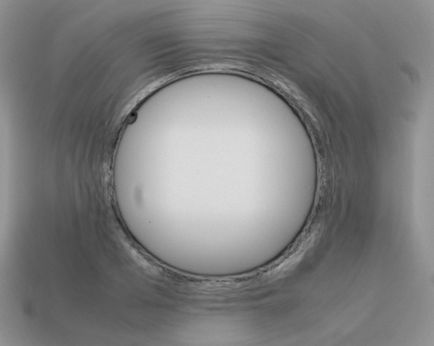 X0000113750985200910141022