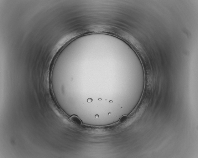 X0000113750986200910141022