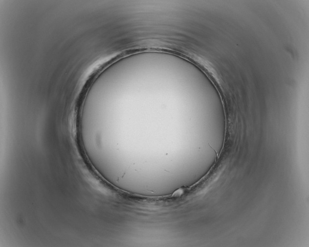 X0000113750987200910141022