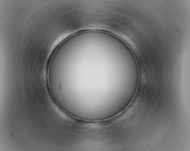 X0000113750990200910141022