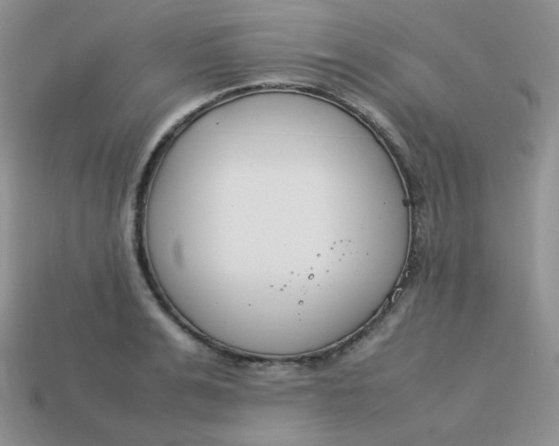 X0000113750991200910141022