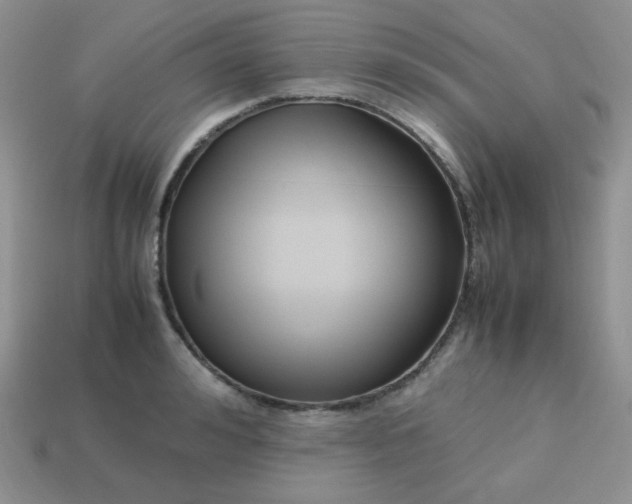 X0000113750992200910141022