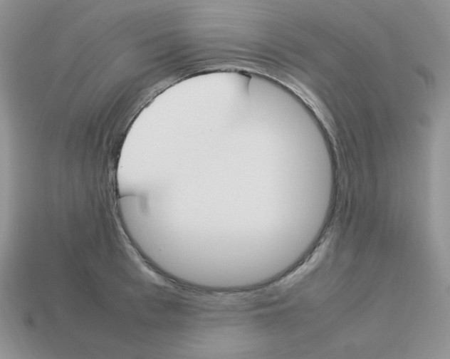 X0000113750993200910141022