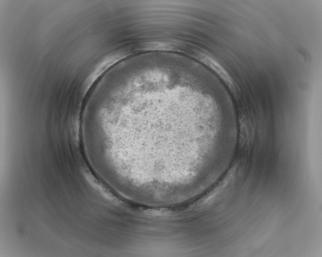 X0000113750994200910141022