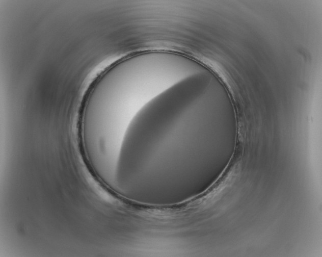 X0000113750995200910141022