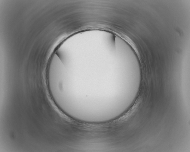 X0000113750997200910141022