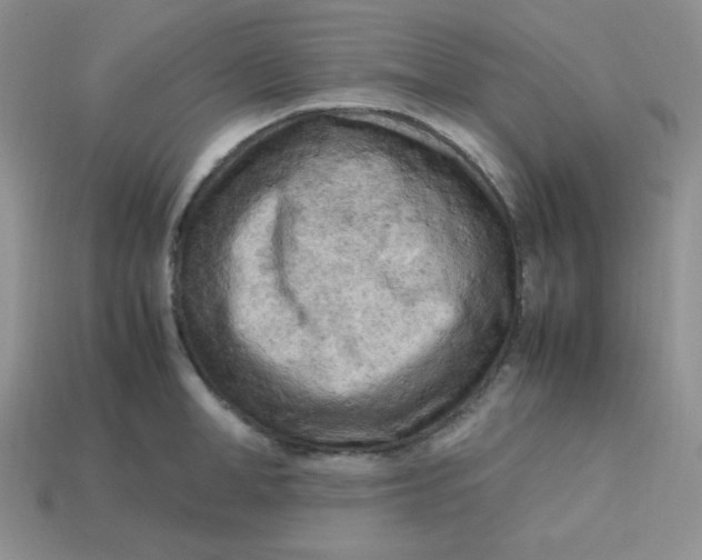 X0000113750998200910141022