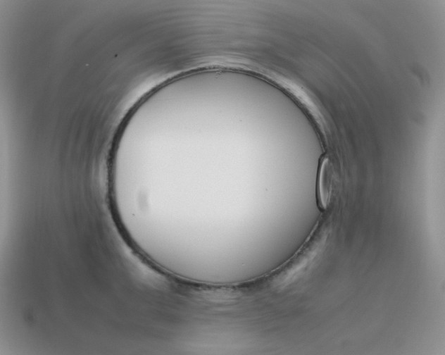 X0000113750999200910141022