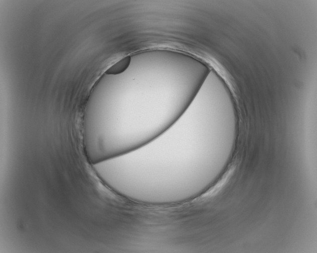 X0000113751001200910141022