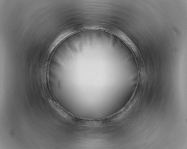 X0000113751002200910141022