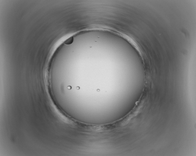 X0000113751003200910141022