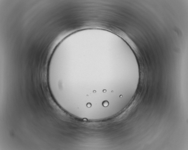 X0000113751004200910141022