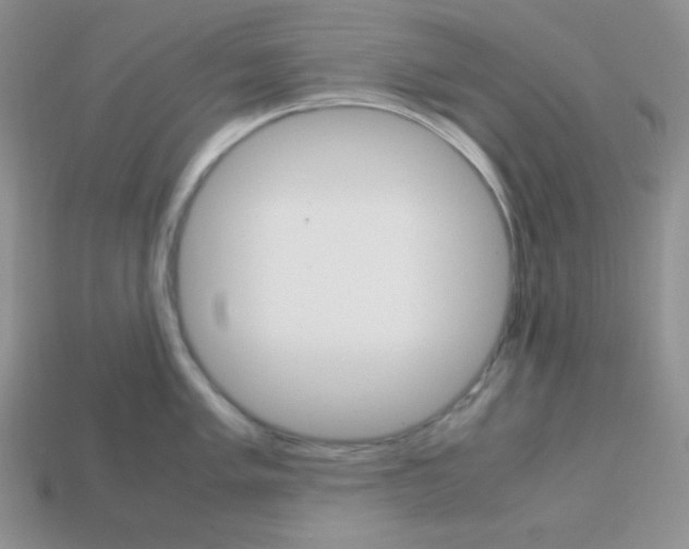 X0000113751005200910141022