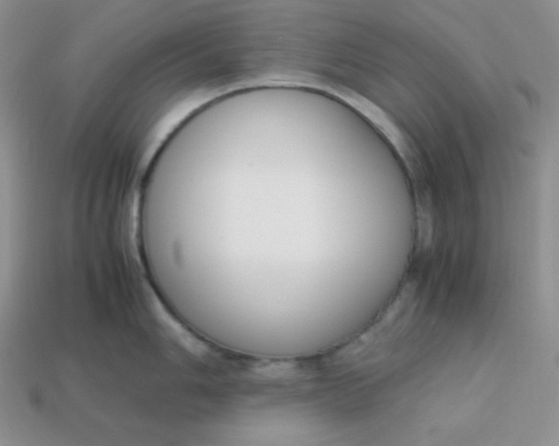 X0000113751006200910141022