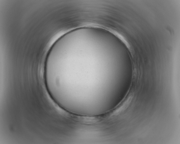 X0000113751007200910141022