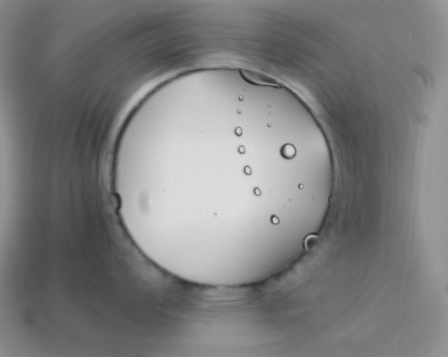 X0000113751008200910141022