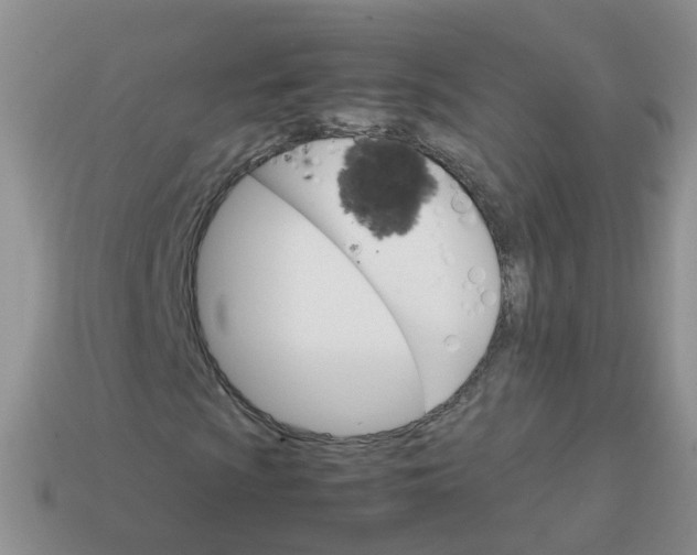 X0000113751009200910141021