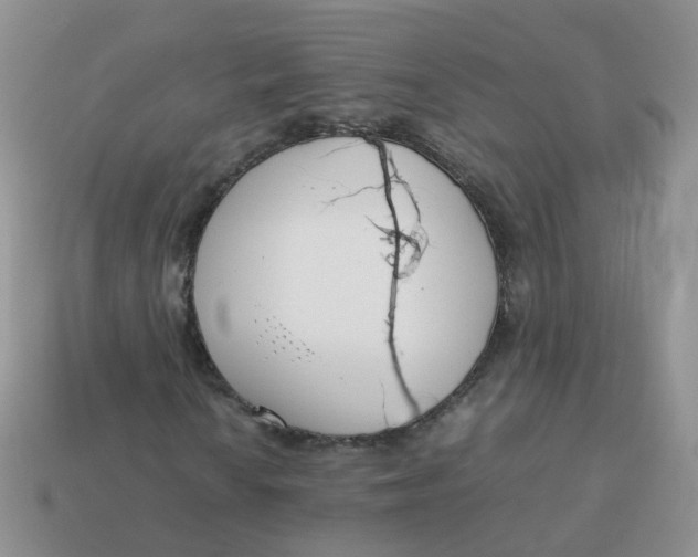 X0000113751010200910141021