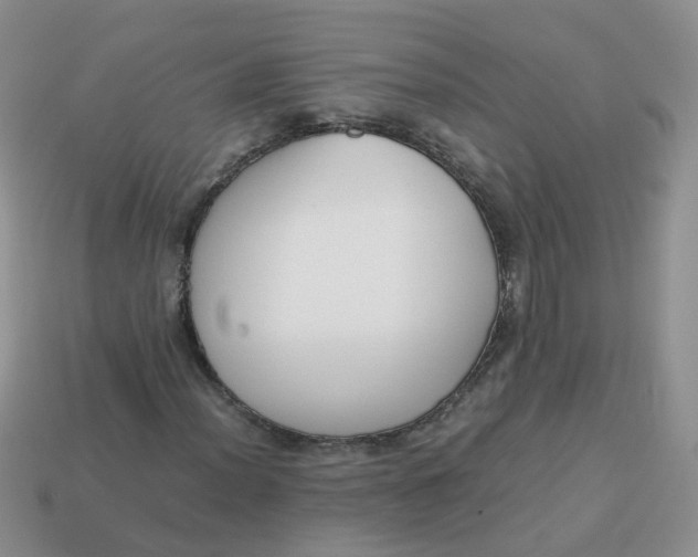 X0000113751012200910141021