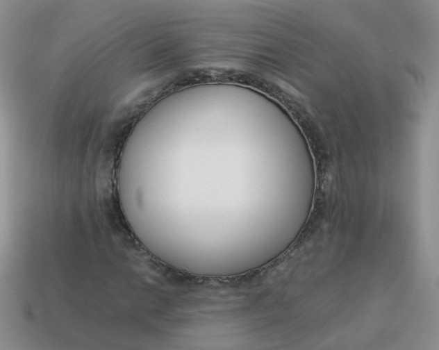 X0000113751014200910141021