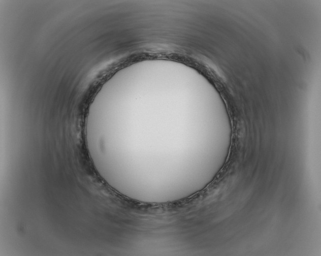 X0000113751016200910141021