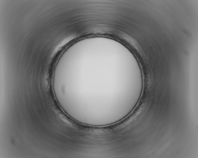 X0000113751018200910141021