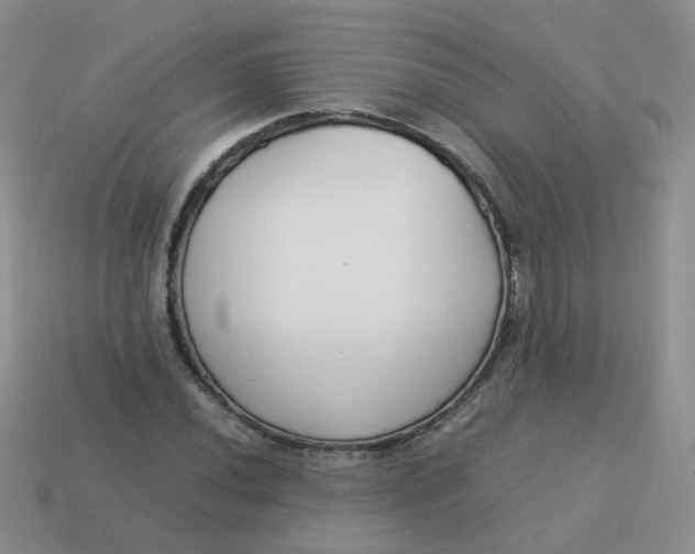 X0000113751020200910141021