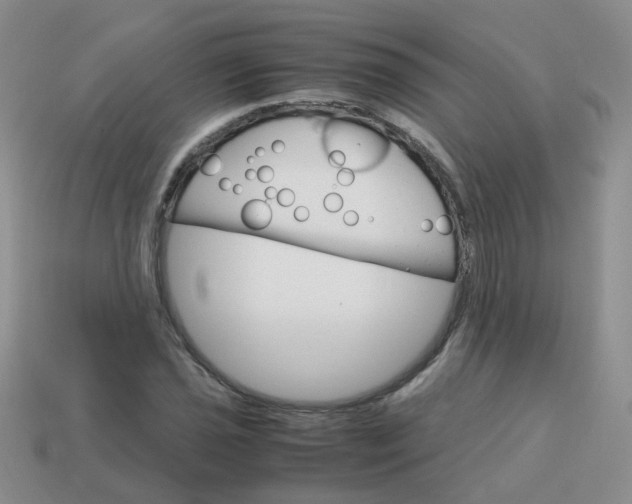 X0000113751021200910141021