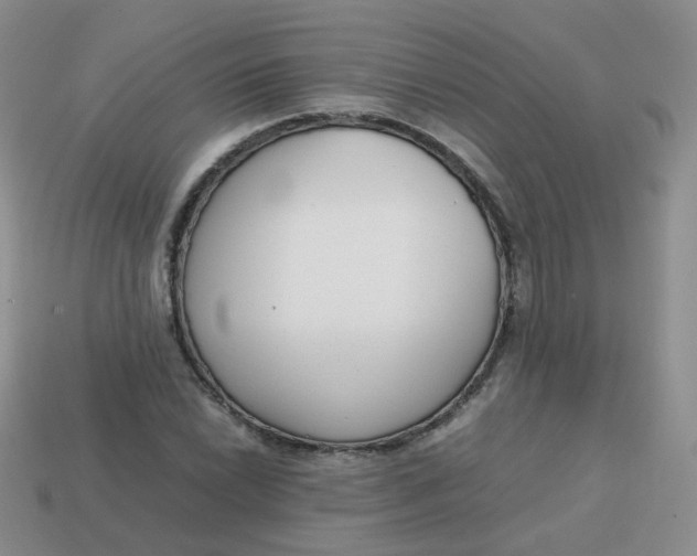 X0000113751022200910141021