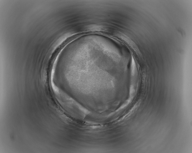 X0000113751023200910141021