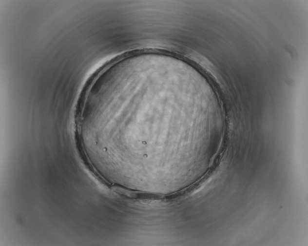 X0000113751024200910141021