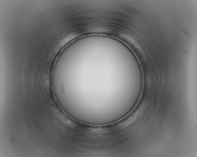 X0000113751025200910141021