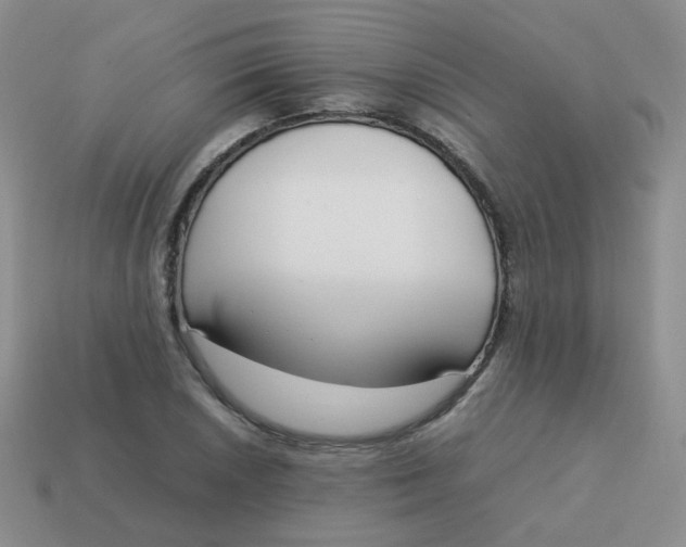 X0000113751026200910141021