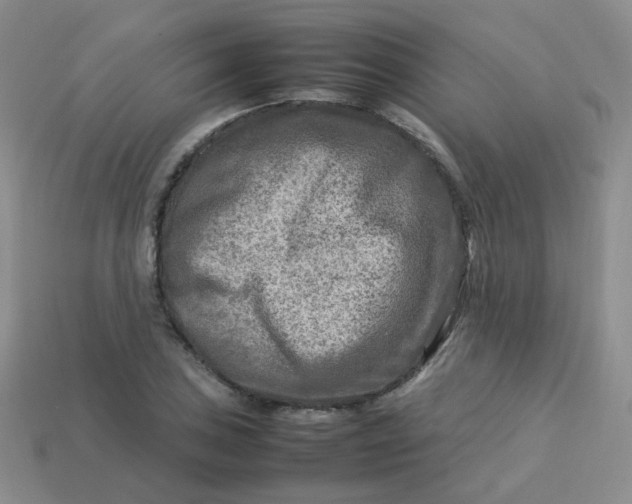 X0000113751027200910141021