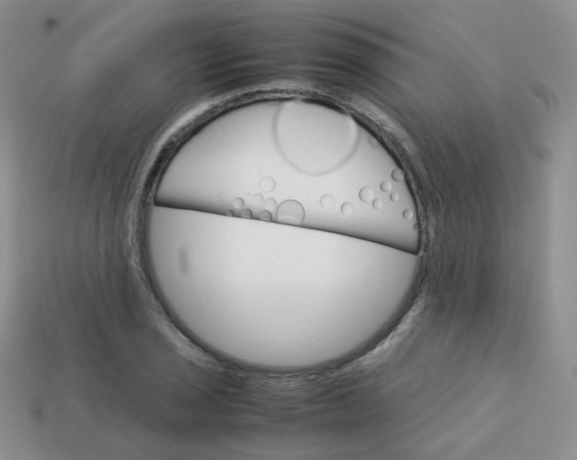 X0000113751029200910141021