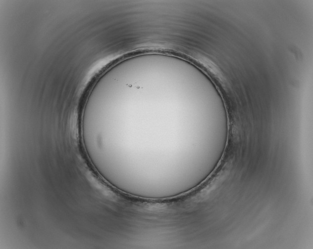 X0000113751030200910141021