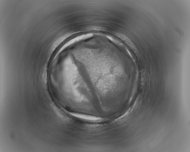 X0000113751031200910141021