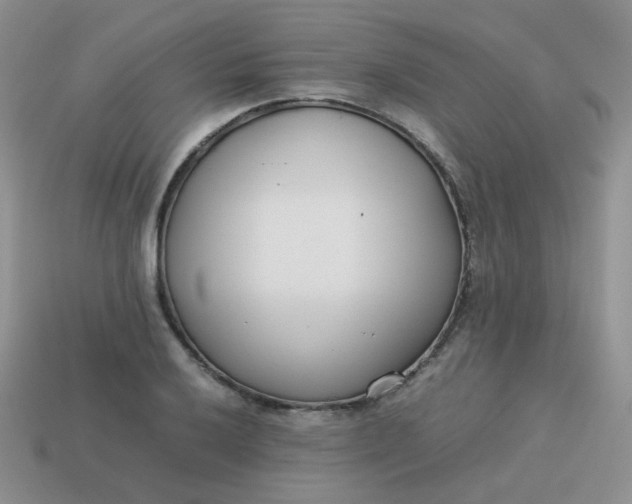 X0000113751032200910141021