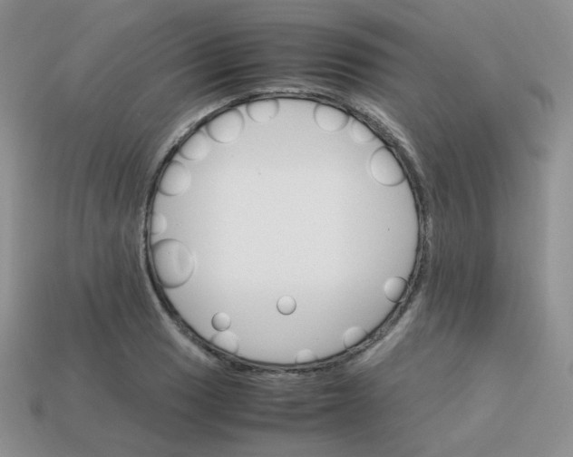 X0000113751033200910141021