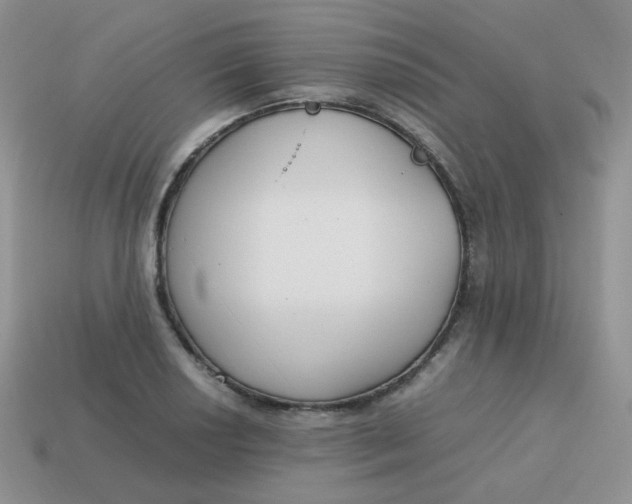 X0000113751034200910141021