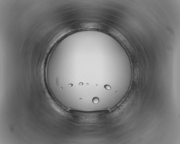 X0000113751039200910141021