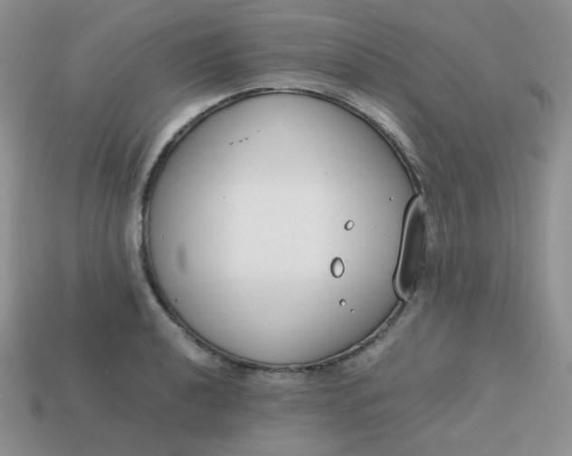 X0000113751040200910141021