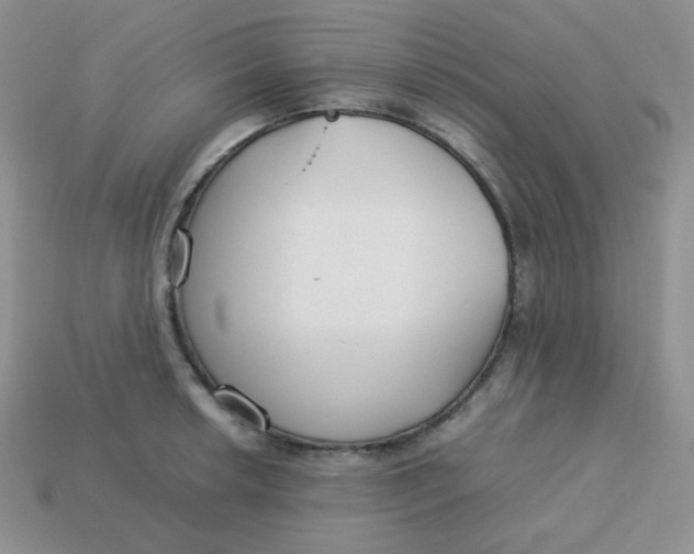 X0000113751042200910141022