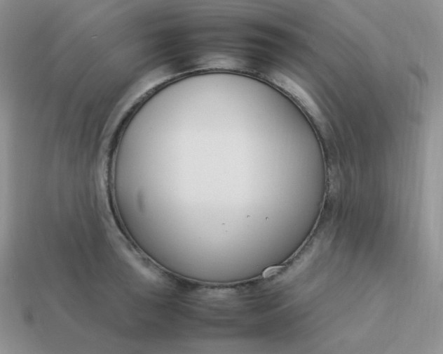 X0000113751043200910141022