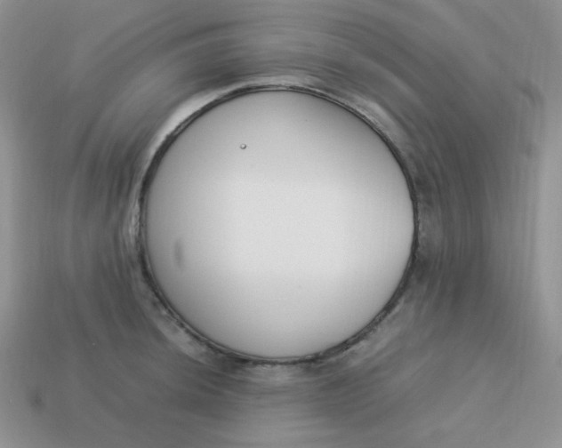 X0000113751044200910141022