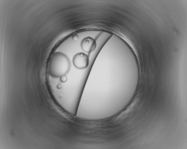 X0000113751045200910141022