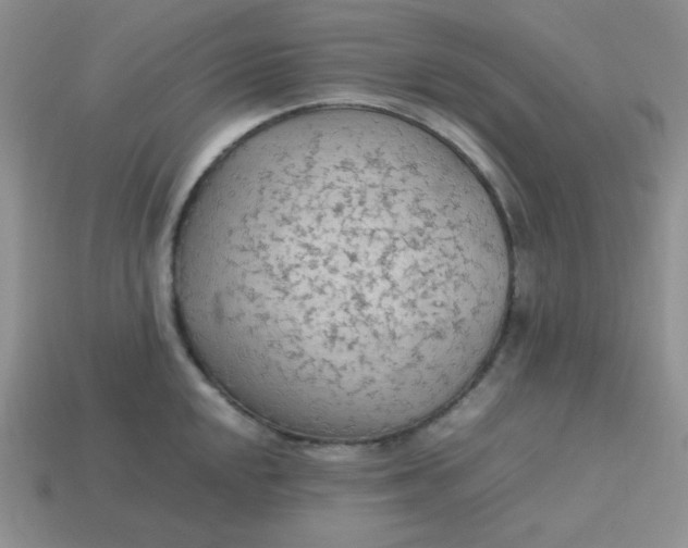 X0000113751048200910141022